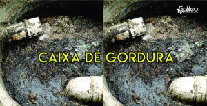caixa de gordura