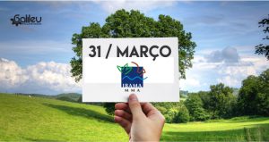 Relatórios do IBAMA